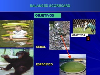 OBJETIVOS OBJETIVOS 5 GERAL ESPECÍFICO 