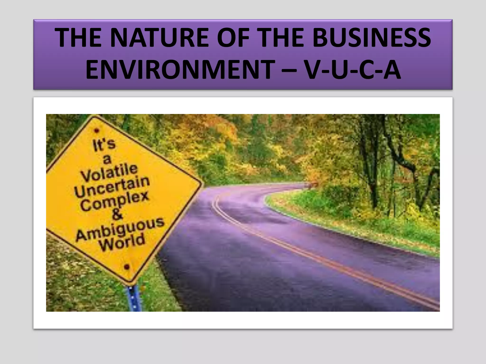 THE NATURE OF THE BUSINESS
ENVIRONMENT – V-U-C-A
 