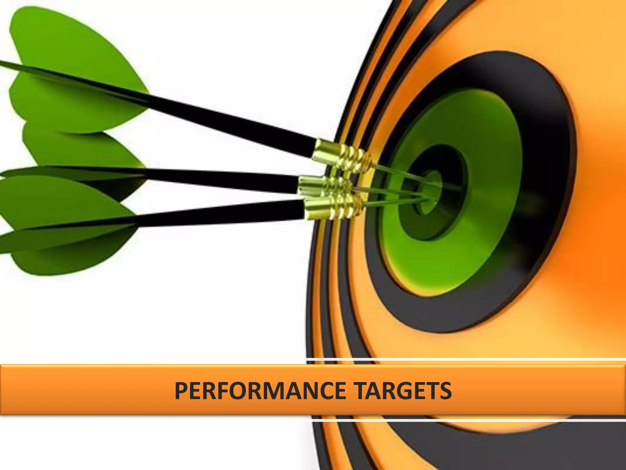 PERFORMANCE TARGETS
 