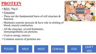 PROTEIN
• RDA: 56g/d
• Functions
- These are the fundamental basis of cell structure &
function.
- Maintains osmotic pressure & have role in clotting of
blood, muscle contraction.
- All the enzymes, several hormones,
immunoglobulins are proteins.
- Used as energy sources.
• Common sources of proteins are-
PULSES MILK MEAT CEREALS EGG
LEAFY
VEG
 