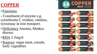 COPPER
•Functions
- Constituent of enzyme e.g.
cytochrome C oxidase, catalase,
tyrosinase in iron transport.
•Deficiency Anemia, Menkes
disease.
•RDA 2-3mg/d
•Sources: organ meat, cereals,
leafy vegetables
 