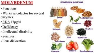 MOLYBDENUM
•Functions
- Works as cofactor for several
enzymes
•RDA 45µg/d
•Deficiency
- Intellectual disability
- Seizures
- Lens dislocation
 