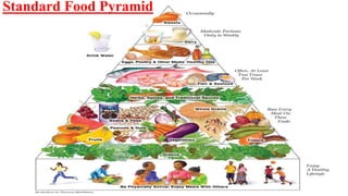 Standard Food Pyramid
 