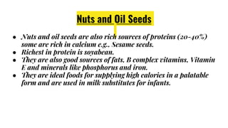 Nuts and Oil Seeds
● Nuts and oil seeds are also rich sources of proteins (20-40%)
some are rich in calcium e.g., Sesame seeds.
● Richest in protein is soyabean.
● They are also good sources of fats, B complex vitamins, Vitamin
E and minerals like phosphorus and iron.
● They are ideal foods for supplying high calories in a palatable
form and are used in milk substitutes for infants.
 