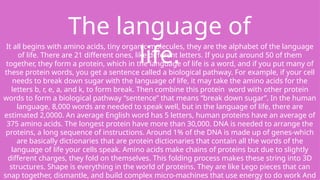 The language of
life.
It all begins with amino acids, tiny organic molecules, they are the alphabet of the language
of life. There are 21 different ones, like different letters. If you put around 50 of them
together, they form a protein, which in the language of life is a word, and if you put many of
these protein words, you get a sentence called a biological pathway. For example, if your cell
needs to break down sugar with the language of life, it may take the amino acids for the
letters b, r, e, a, and k, to form break. Then combine this protein word with other protein
words to form a biological pathway “sentence” that means “break down sugar”. In the human
language, 8,000 words are needed to speak well, but in the language of life, there are
estimated 2,0000. An average English word has 5 letters, human proteins have an average of
375 amino acids. The longest protein have more than 30,000. DNA is needed to arrange the
proteins, a long sequence of instructions. Around 1% of the DNA is made up of genes-which
are basically dictionaries that are protein dictionaries that contain all the words of the
language of life your cells speak. Amino acids make chains of proteins but due to slightly
different charges, they fold on themselves. This folding process makes these string into 3D
structures. Shape is everything in the world of proteins. They are like Lego pieces that can
snap together, dismantle, and build complex micro-machines that use energy to do work And
 