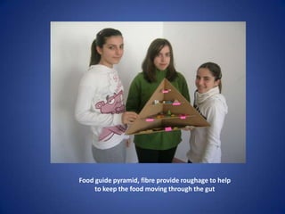 Food guide pyramid, fibre provide roughage to help
     to keep the food moving through the gut
 