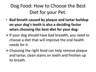 Dogs with low activity levels or who tend to gain weight easily need a dog food to help them guard against obesity. To control obesity therefore, adult dogs need a food that is low in fat and calories and high in fiber to help them feel full without reducing their food intake. Dog Food: How to Choose the Best Diet for your Pet.Bad breath caused by plaque and tartar buildup on your dog's teeth is also a deciding factor when choosing the best diet for your dog: If your dog should have bad breadth, you need to choose a diet that will improve the oral health needs for it.