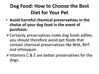 Vitamins C & E are better preservatives for the dogs.Dog Food: How to Choose the Best Diet for Your PetHomemade food is still the best choice any day:Homemade dog food is still the healthiest for your pet. However, you should ensure that the food is well balanced by consulting your vet.