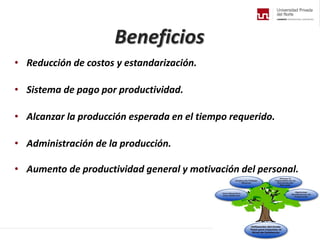 Beneficios
• Reducción de costos y estandarización.
• Sistema de pago por productividad.
• Alcanzar la producción esperada en el tiempo requerido.
• Administración de la producción.
• Aumento de productividad general y motivación del personal.
 