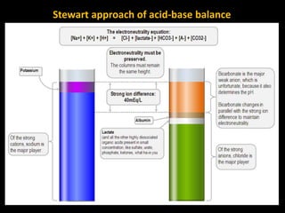 Stewart approach of acid-base balance
 