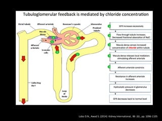Lobo D.N., Awad S. (2014) Kidney International, 86 (6) , pp. 1096-1105
 
