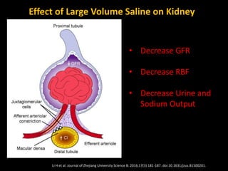 Li H et al. Journal of Zhejiang University Science B. 2016;17(3):181-187. doi:10.1631/jzus.B1500201.
Effect of Large Volume Saline on Kidney
• Decrease GFR
• Decrease RBF
• Decrease Urine and
Sodium Output
 
