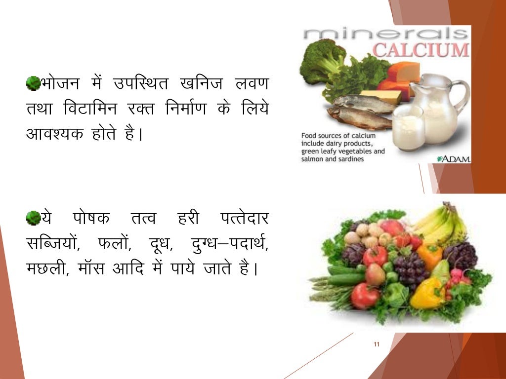 Balance diet hindi copy