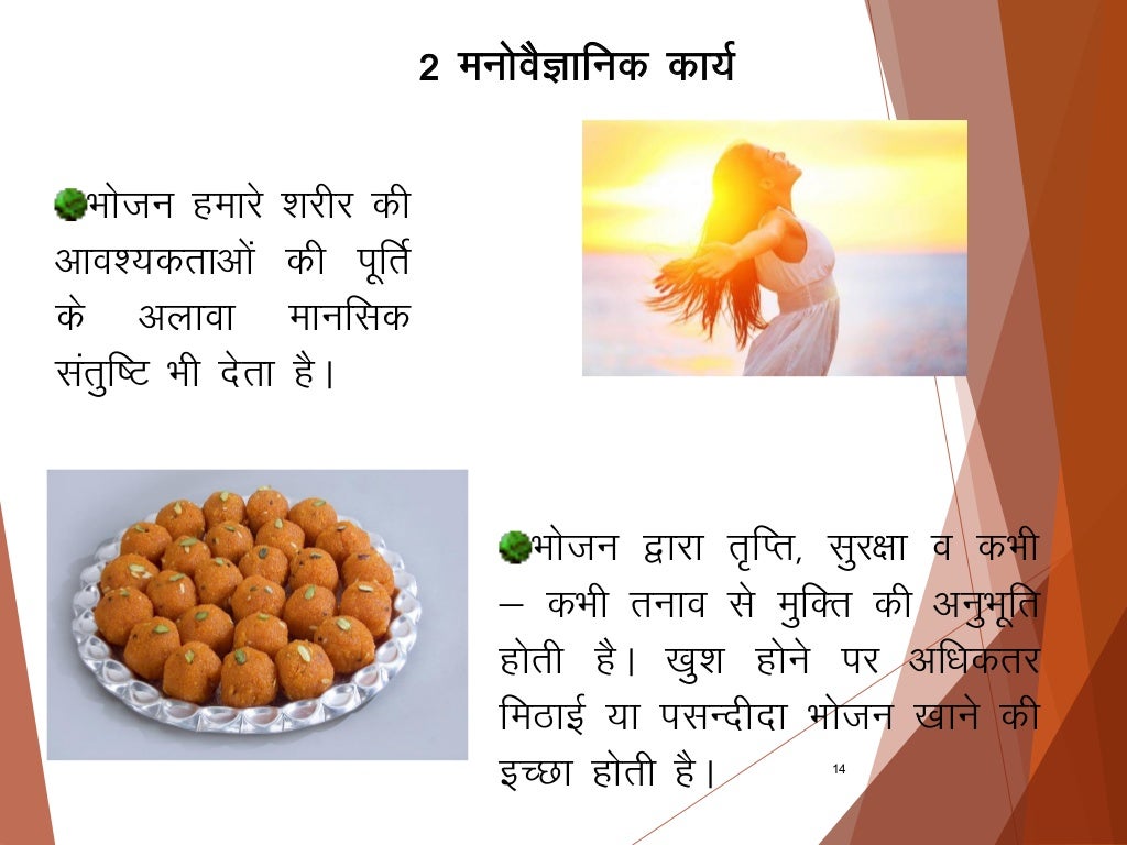 Balance diet hindi copy