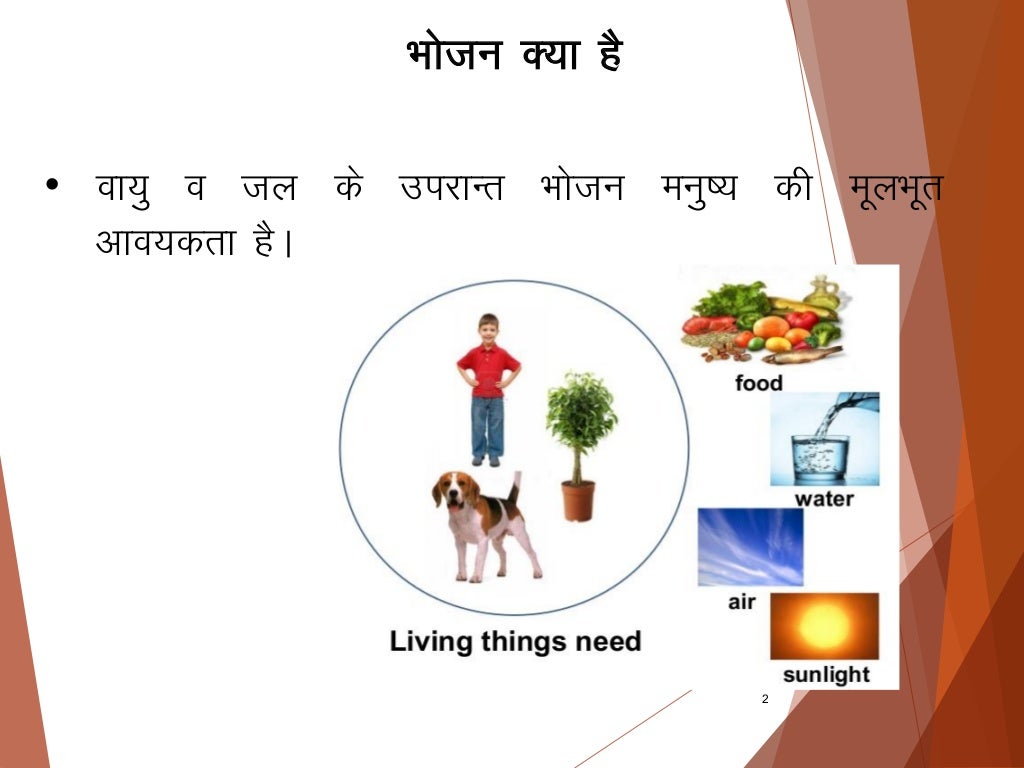 Balance diet hindi copy