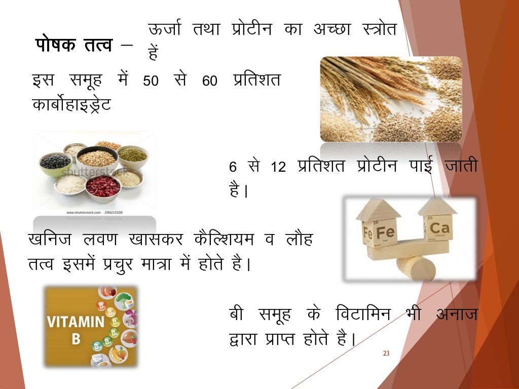 Balance diet hindi copy