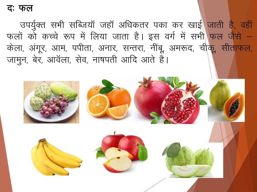 Balance diet hindi copy
