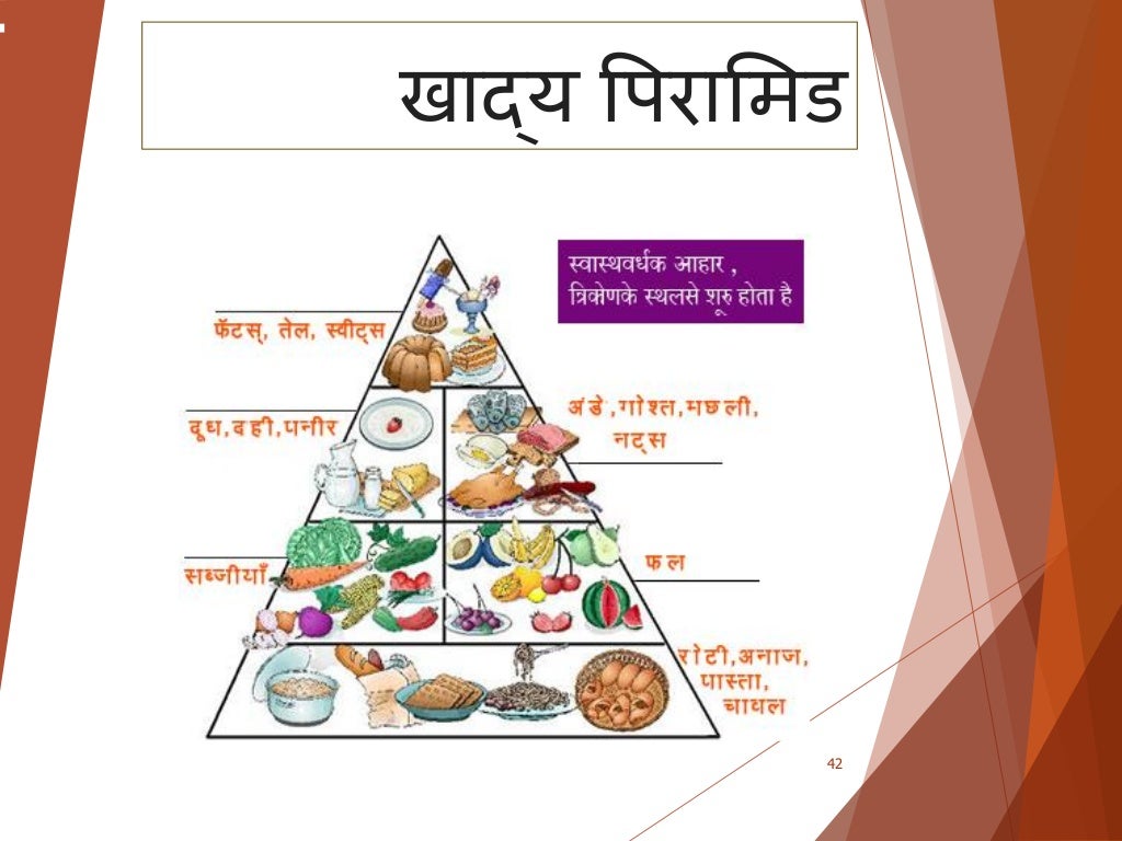 Balance diet hindi copy