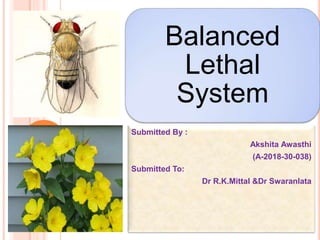 Balanced
Lethal
System
Submitted By :
Akshita Awasthi
(A-2018-30-038)
Submitted To:
Dr R.K.Mittal &Dr Swaranlata
 