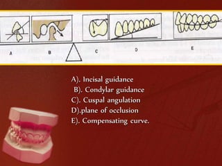 A). Incisal guidance 
B). Condylar guidance 
C). Cuspal angulation 
D).plane of occlusion 
E). Compensating curve. 
 