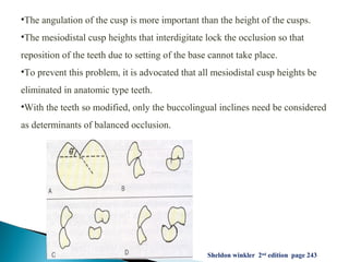 •The angulation of the cusp is more important than the height of the cusps.
•The mesiodistal cusp heights that interdigitate lock the occlusion so that
reposition of the teeth due to setting of the base cannot take place.
•To prevent this problem, it is advocated that all mesiodistal cusp heights be
eliminated in anatomic type teeth.
•With the teeth so modified, only the buccolingual inclines need be considered
as determinants of balanced occlusion.
Sheldon winkler 2nd
edition page 243
 