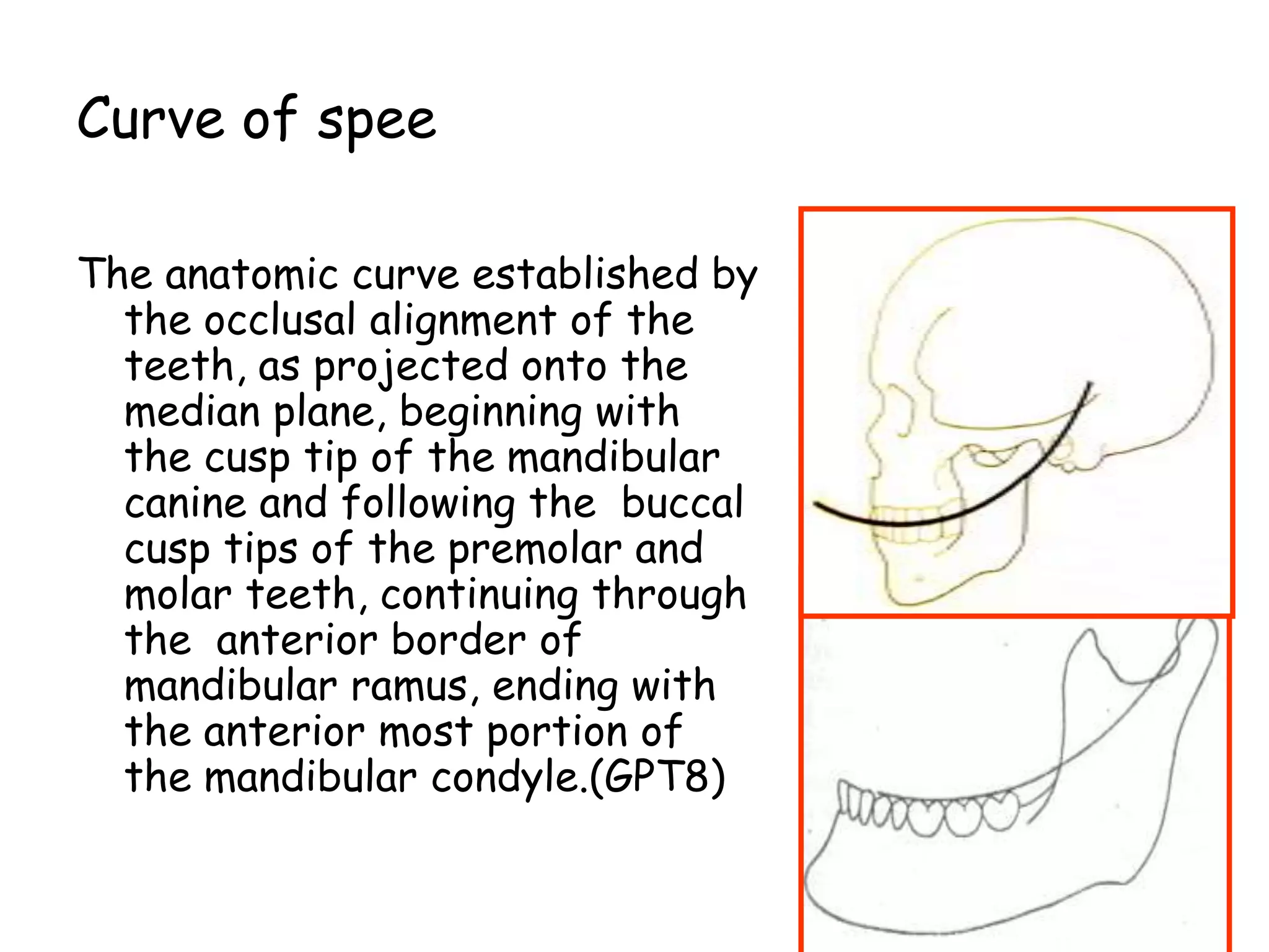 Curve of spee 
The anatomic curve established by 
the occlusal alignment of the 
teeth, as projected onto the 
median plane, beginning with 
the cusp tip of the mandibular 
canine and following the buccal 
cusp tips of the premolar and 
molar teeth, continuing through 
the anterior border of 
mandibular ramus, ending with 
the anterior most portion of 
the mandibular condyle.(GPT8) 
 