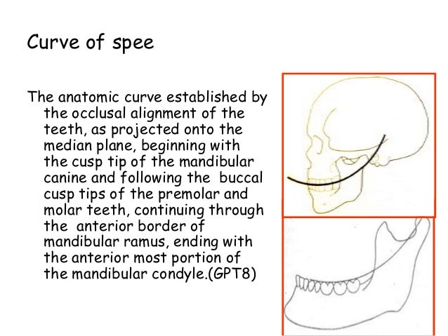 curve of spee
