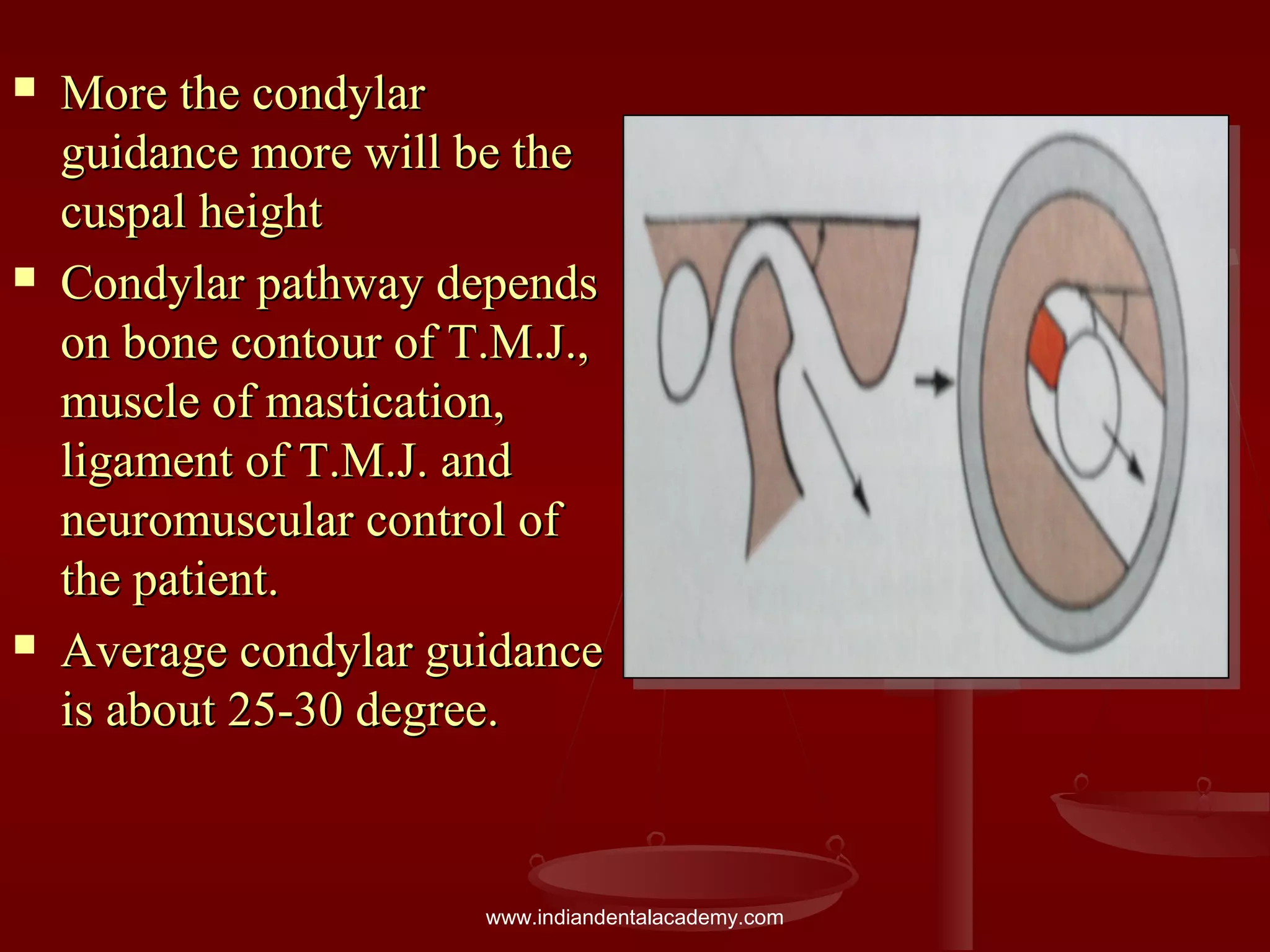  More the condylarMore the condylar
guidance more will be theguidance more will be the
cuspal heightcuspal height
 Condylar pathway dependsCondylar pathway depends
on bone contour of T.M.J.,on bone contour of T.M.J.,
muscle of mastication,muscle of mastication,
ligament of T.M.J. andligament of T.M.J. and
neuromuscular control ofneuromuscular control of
the patient.the patient.
 Average condylar guidanceAverage condylar guidance
is about 25-30 degree.is about 25-30 degree.
www.indiandentalacademy.com
 