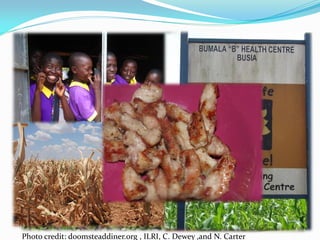 Investigation of how improved pig-feeding changes the well-being of poor Ugandan pig keepers using participatory epidemiology