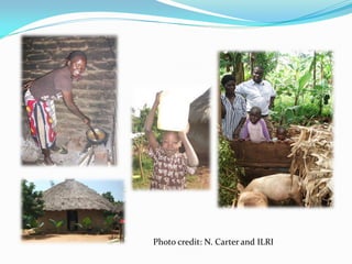 Investigation of how improved pig-feeding changes the well-being of poor Ugandan pig keepers using participatory epidemiology