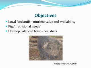 Investigation of how improved pig-feeding changes the well-being of poor Ugandan pig keepers using participatory epidemiology