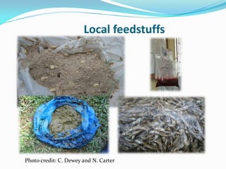 Investigation of how improved pig-feeding changes the well-being of poor Ugandan pig keepers using participatory epidemiology