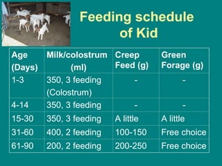 Balanced Ration for Bucks Balanced Ration for Bucks.ppt