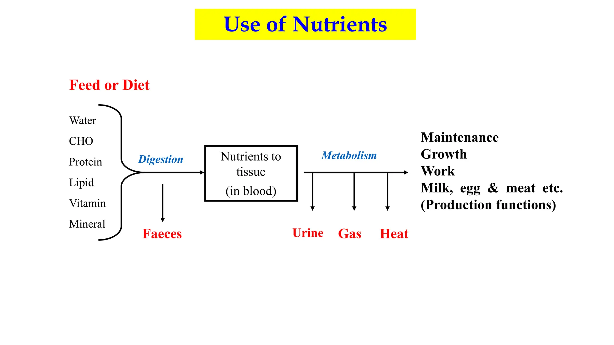 balancedrationsureshkhjkjhadkhkhkhldakhlkhlgk | PPT