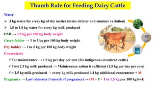 Cow Ration balancedrationsureshkhjkjhadkhkhkhldakhlkhlgk | PDF