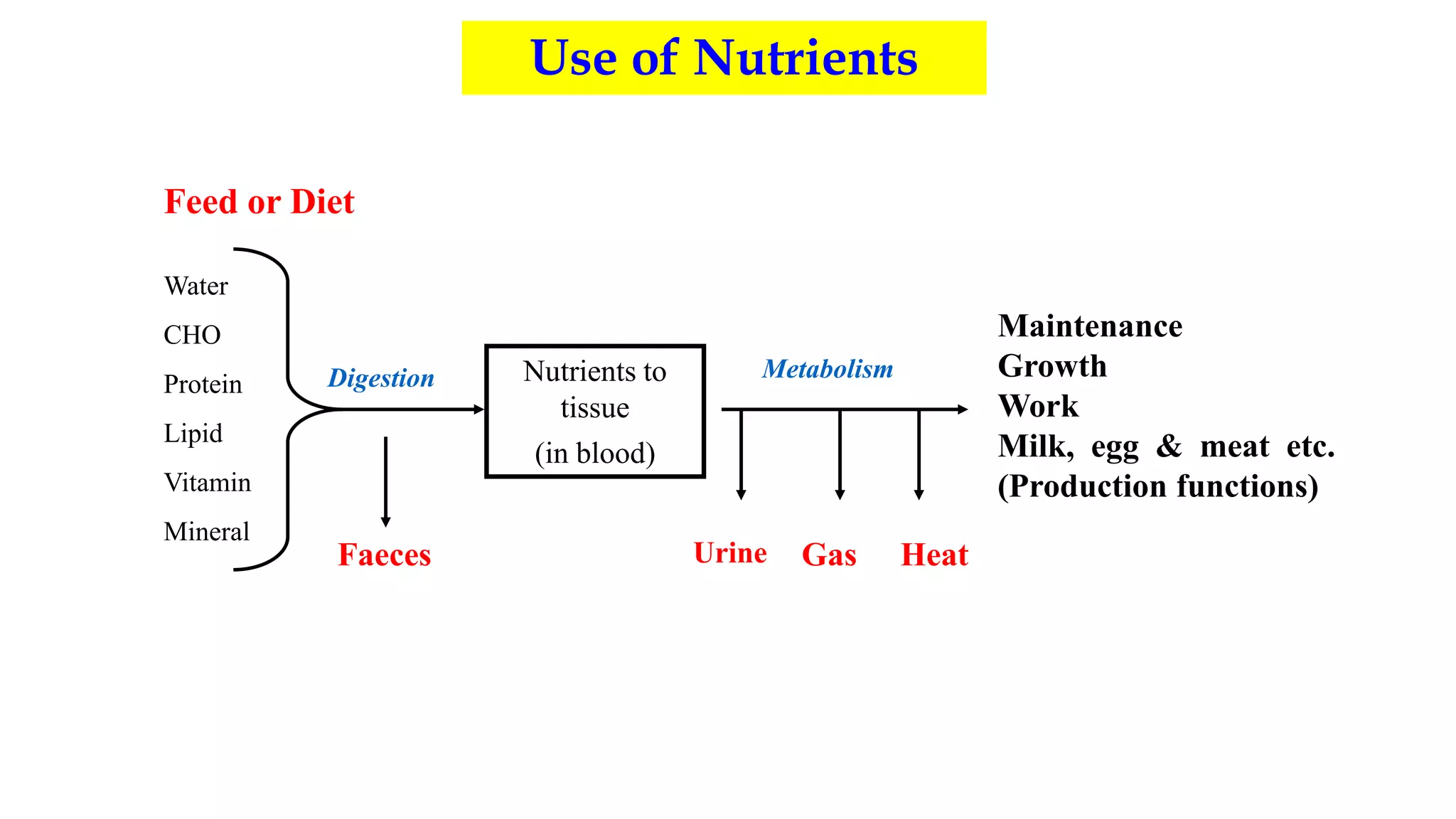 Balanced ration suresh | PPT