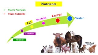 Nutrients
 Macro Nutrients
 Micro Nutrients
Vitamins
Minerals
Water
 