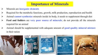 Importance of Minerals
 Minerals are inorganic elements
 Required for the metabolic functions, growth, milk production, reproduction and health
 Animal cannot synthesize minerals inside its body, it needs to supplement through diet
 Feed and fodders are very poor source of minerals; do not provide all the minerals
required for an animal
 Animal should be supplemented with adequate amount of good quality mineral mixture
in their ration
 