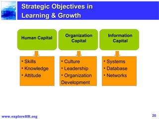 Human Capital Organization Capital Information Capital Skills Knowledge Attitude Systems Database Networks Culture Leadership Organization Development Strategic Objectives in  Learning & Growth 