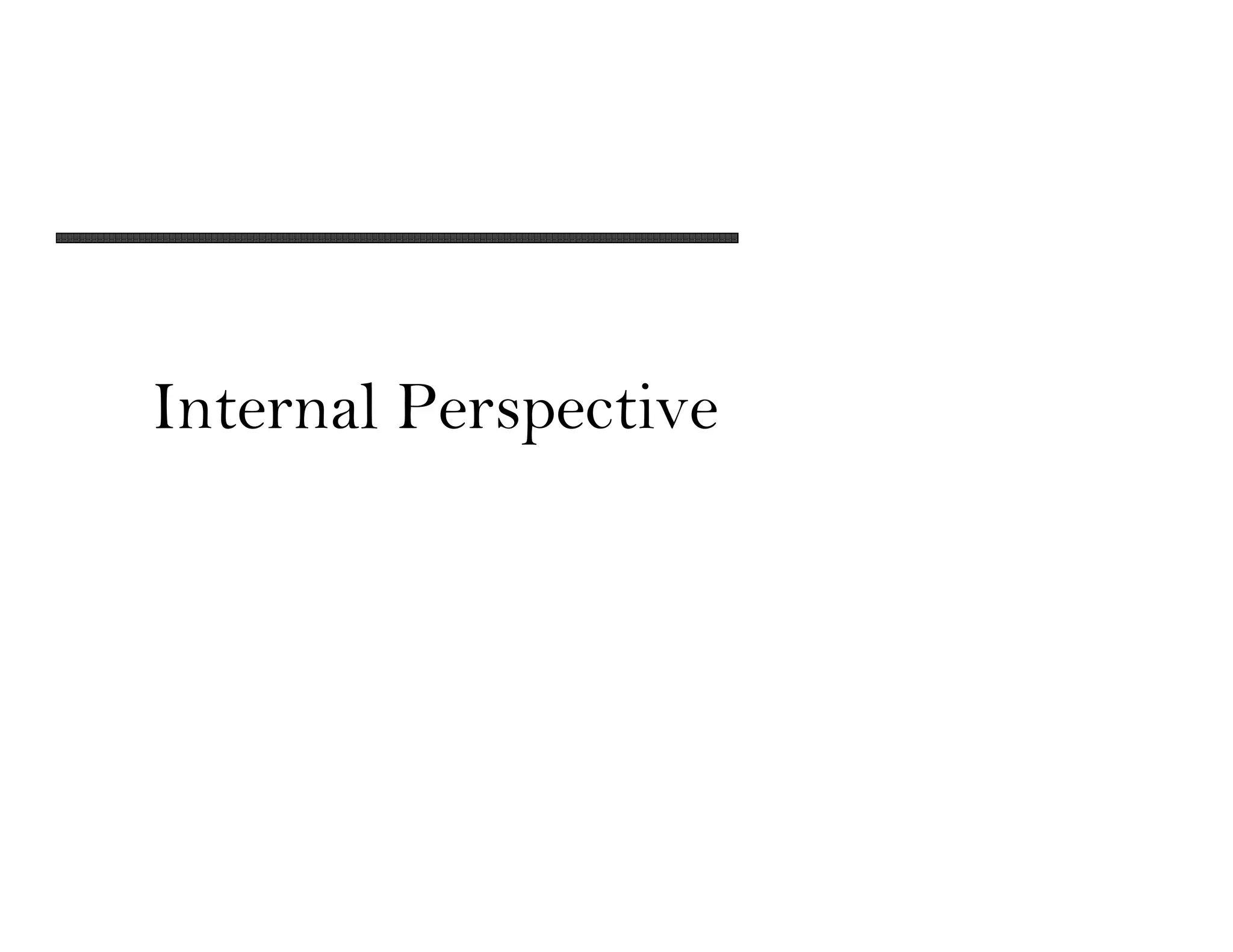 Internal Perspective
 