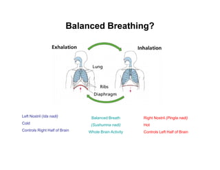 Balanced Breathing?




Left Nostril (Ida nadi)         Balanced B th
                                B l    d Breath     ...