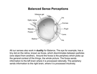 Balanced Sense Perceptions




All our senses also work in duality for Balance. The eye for example, has a
tiny dot on the...