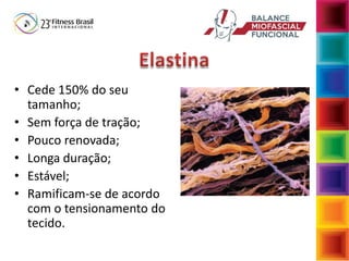 • Cede 150% do seu
tamanho;
• Sem força de tração;
• Pouco renovada;
• Longa duração;
• Estável;
• Ramificam-se de acordo
com o tensionamento do
tecido.
 