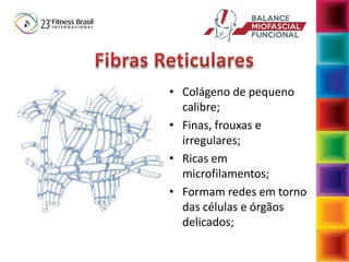 • Colágeno de pequeno
calibre;
• Finas, frouxas e
irregulares;
• Ricas em
microfilamentos;
• Formam redes em torno
das células e órgãos
delicados;
 