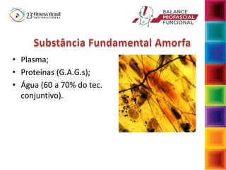• Plasma;
• Proteínas (G.A.G.s);
• Água (60 a 70% do tec.
conjuntivo).
 