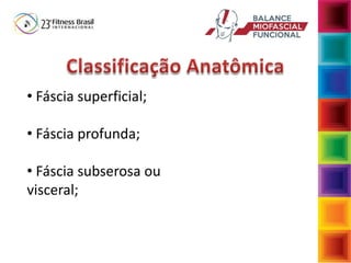 • Fáscia superficial;
• Fáscia profunda;
• Fáscia subserosa ou
visceral;
 