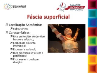  Localização Anatômica:
 Subcutânea;
 Características:
 Rica em tecido conjuntivo
frouxo e adiposo;
 Embebida em linfa
intersticial;
 Espessura variável;
 Rica em vasos linfáticos e
periféricos;
 Estica-se em qualquer
direção.
 