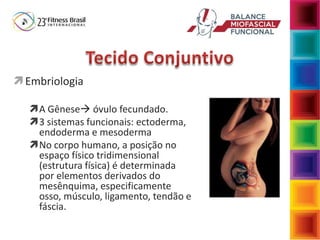 Embriologia
A Gênese óvulo fecundado.
3 sistemas funcionais: ectoderma,
endoderma e mesoderma
No corpo humano, a posição no
espaço físico tridimensional
(estrutura física) é determinada
por elementos derivados do
mesênquima, especificamente
osso, músculo, ligamento, tendão e
fáscia.
 