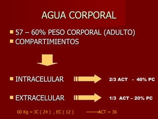 AGUA CORPORAL 57 – 60% PESO CORPORAL (ADULTO) COMPARTIMIENTOS INTRACELULAR EXTRACELULAR 1/3  ACT – 20% PC 2/3 ACT  -  40% PC 60 Kg = IC ( 24 )  , EC ( 12 )  ACT = 36  