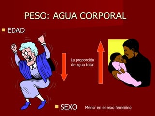 PESO: AGUA CORPORAL EDAD La proporción de agua total SEXO Menor en el sexo femenino 